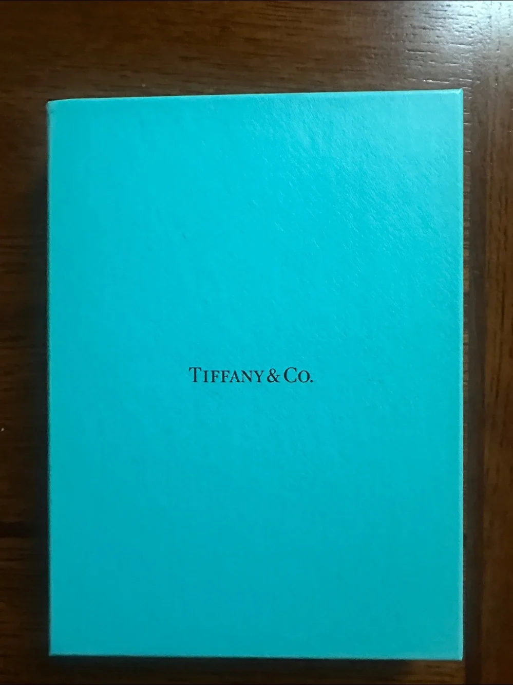 Tiffany & Co. aqua blue leather notebook with silver foil